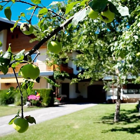 Haus Obermoser Dellach im Drautal エクステリア 写真
