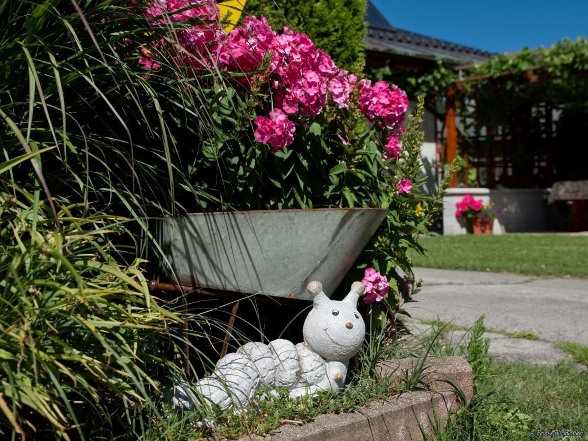 Haus Obermoser Dellach im Drautal エクステリア 写真