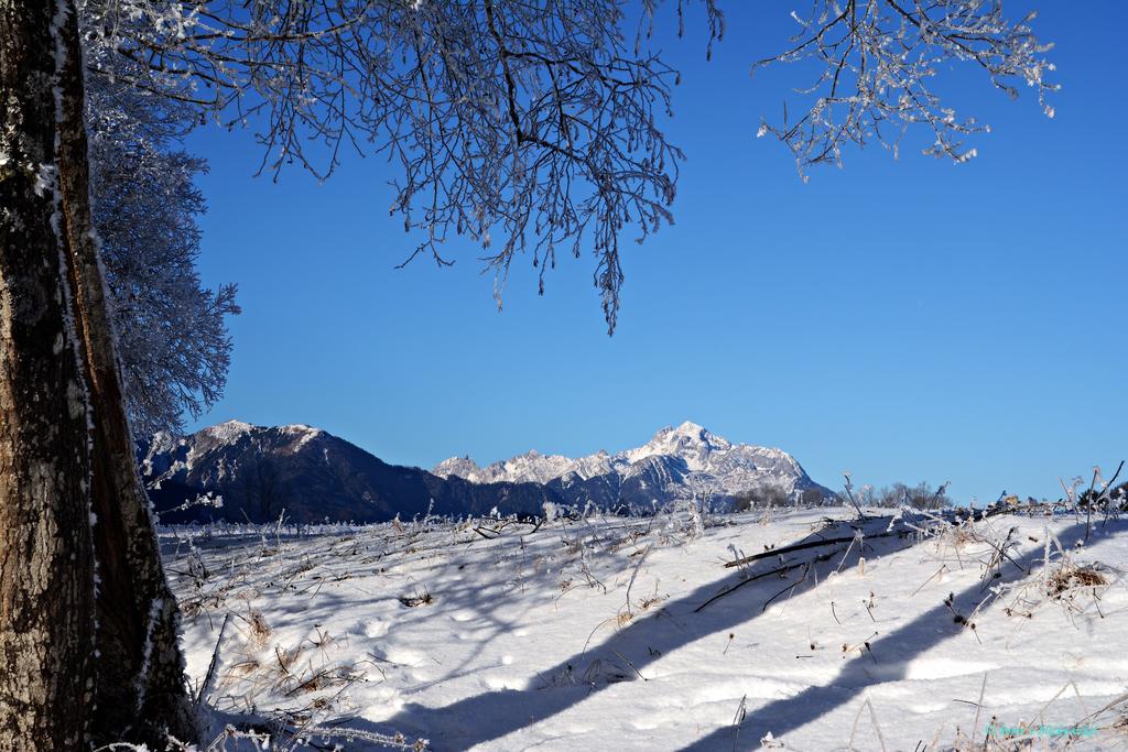 Haus Obermoser Dellach im Drautal エクステリア 写真