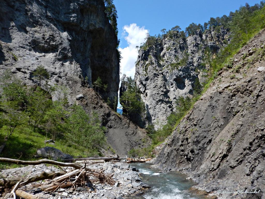 Haus Obermoser Dellach im Drautal エクステリア 写真